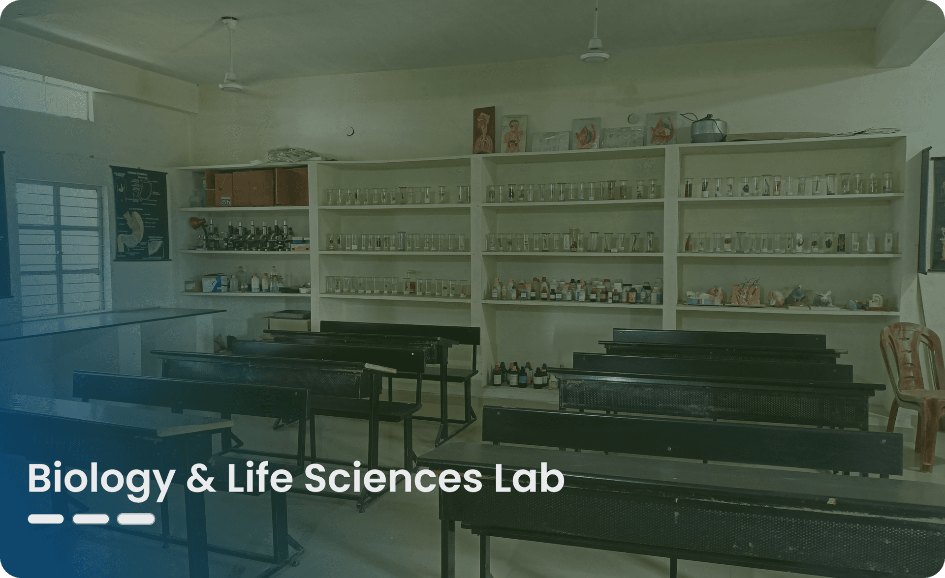 Biology Laboratory Room
