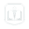 Vision-Icon