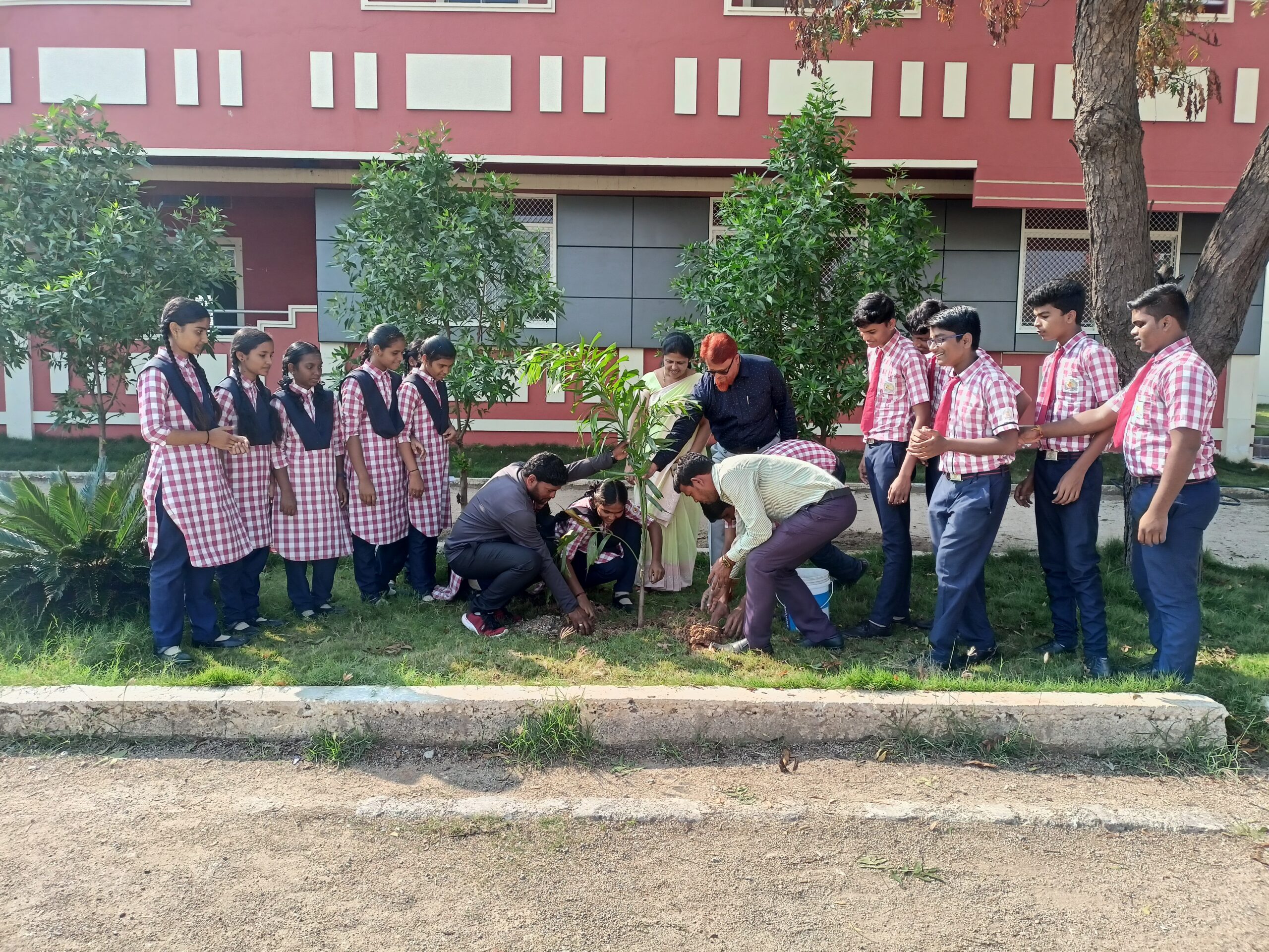 Save Tree Event